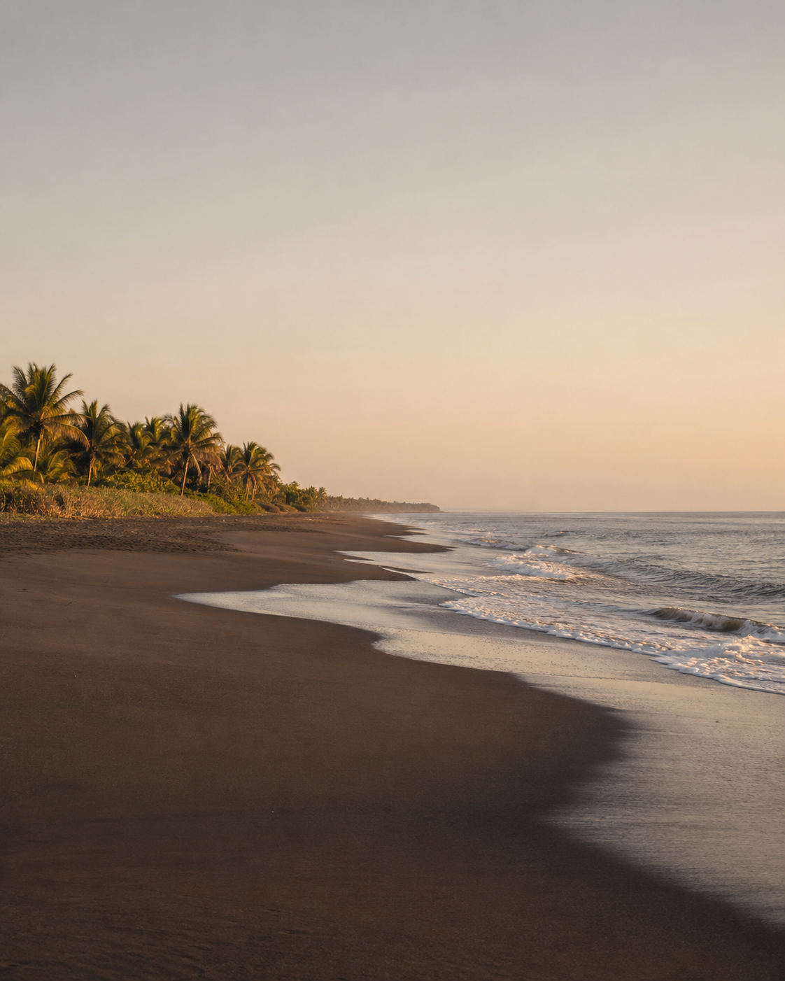  El Paredón coast